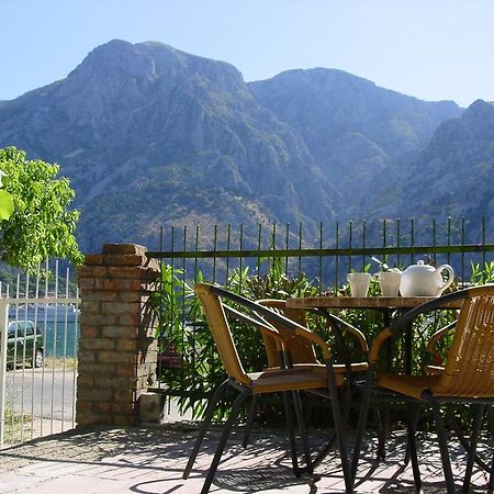 Apartment Mimosa Kotor Szoba fotó