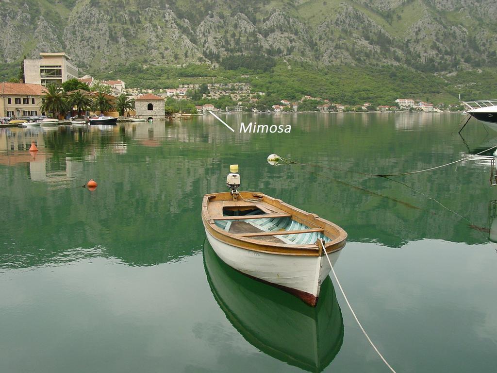Apartment Mimosa Kotor Szoba fotó