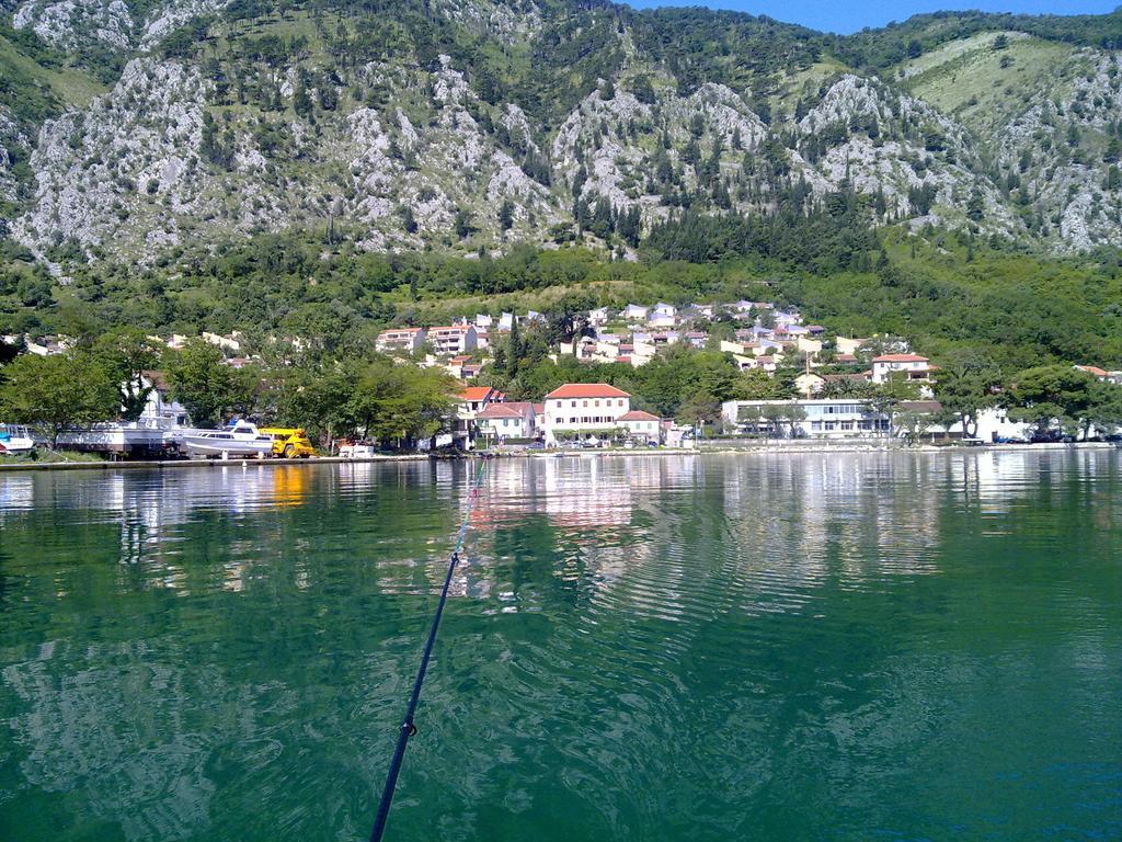 Apartment Mimosa Kotor Szoba fotó