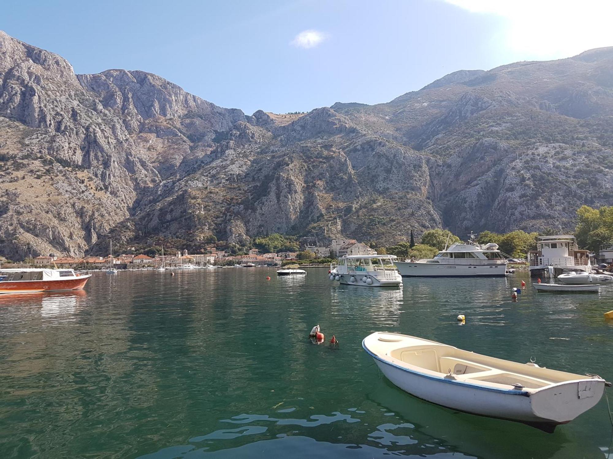 Apartment Mimosa Kotor Kültér fotó
