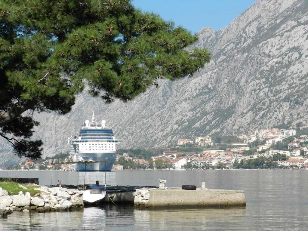 Apartment Mimosa Kotor Szoba fotó