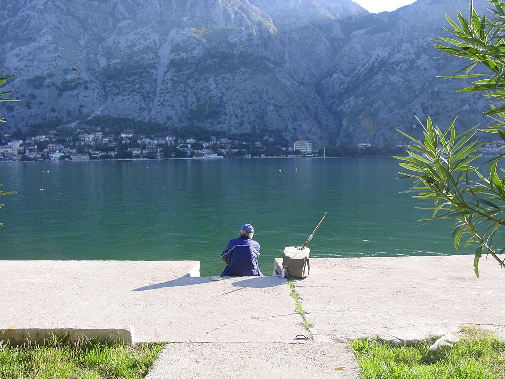 Apartment Mimosa Kotor Szoba fotó