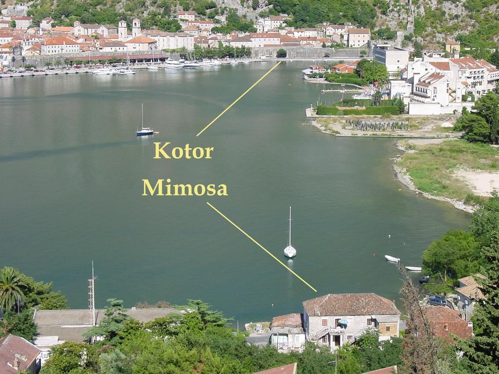 Apartment Mimosa Kotor Szoba fotó