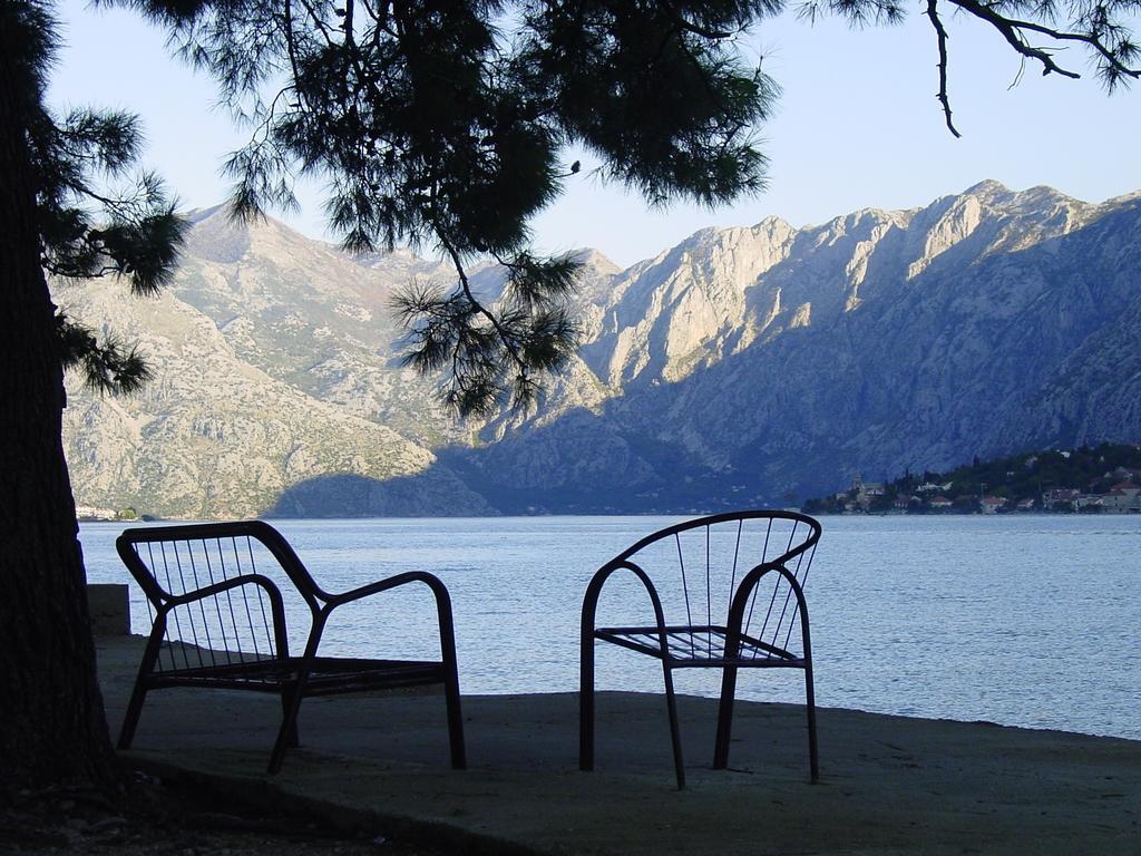 Apartment Mimosa Kotor Szoba fotó