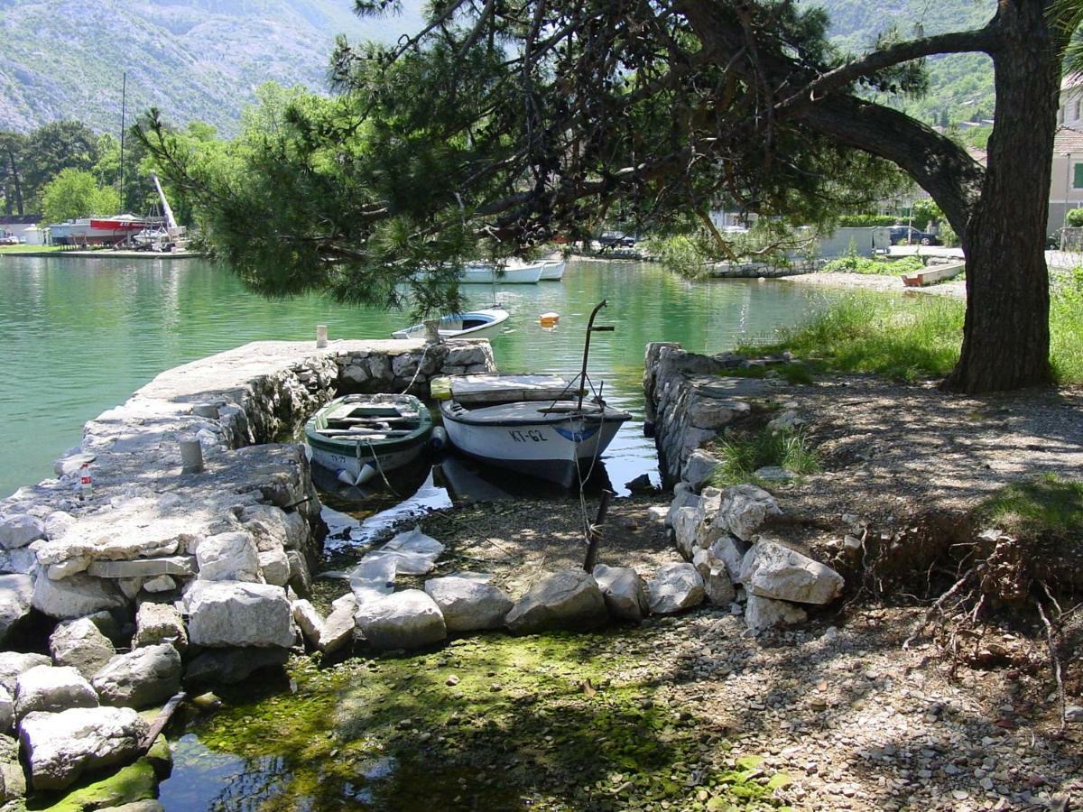Apartment Mimosa Kotor Kültér fotó