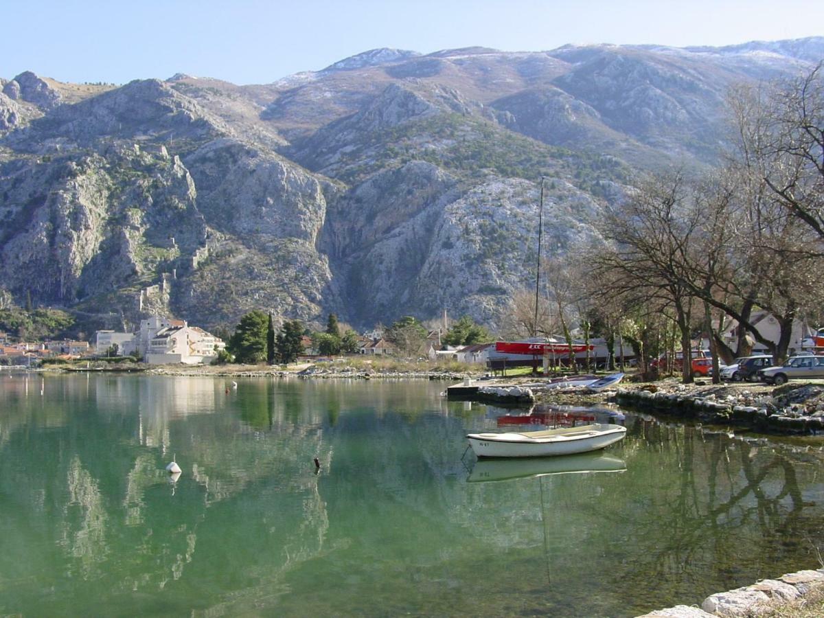 Apartment Mimosa Kotor Kültér fotó